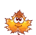 o15.gif