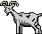 Animals_wapbirga_124.gif
