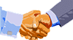 Welkom_WapBirga_103.gif