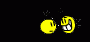 Disassembly_WapBirga_128.gif