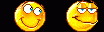 Disassembly_WapBirga_188.gif
