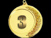 medals55-md48952.png