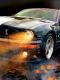 Ford_Shelby_Mustang.jpg