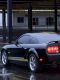 Mustang_R.jpg
