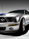 Shelby_Gt500kr.jpg